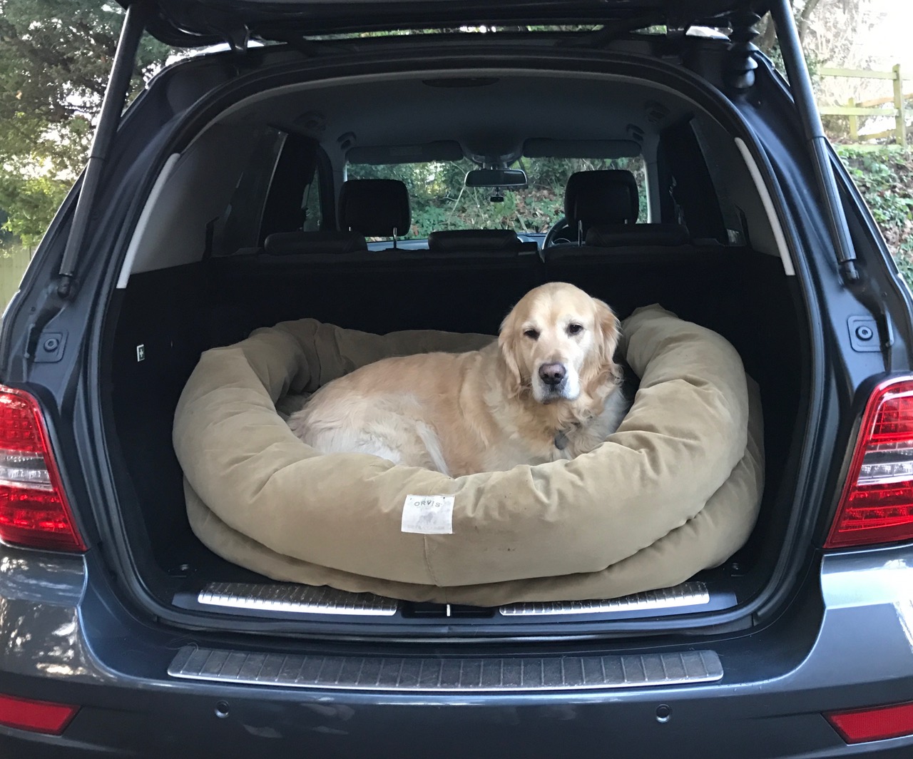 Pet’s Ultimate Chauffeur, pet travel, pet's chauffeur, pet transport, pet transportation