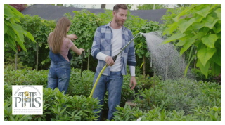 Why Domestic Couples Are in High Demand for Luxury Households