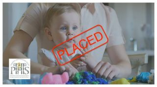 PHS Job 1624, Full Time Russian Speaking Nanny / Housekeeper, Live OUT / IN nanny job, Hampstead nanny vacancy, Salary Negotiable