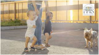 Full Time Nanny Job, Live in / Live Out Nanny Vacancy, Putney, London, Salary 40,000 - 70,000 GBP Gross per year, PHS Job 2061